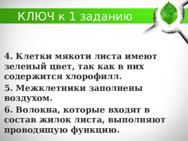 КЛЮЧ к 1 заданию 4. Клетки мякоти листа имеют зеленый цвет, так как в них содержится хлорофилл. 5. Межклетники заполнены воздухом. 6. Волокна, которые входят в состав жилок листа, выполняют проводящую функцию.  