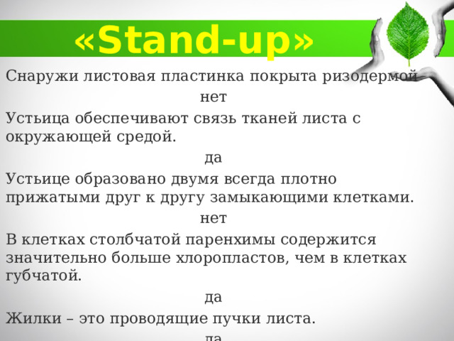 «Stand-up» Снаружи листовая пластинка покрыта ризодермой нет Устьица обеспечивают связь тканей листа с окружающей средой. да Устьице образовано двумя всегда плотно прижатыми друг к другу замыкающими клетками. нет В клетках столбчатой паренхимы содержится значительно больше хлоропластов, чем в клетках губчатой. да Жилки – это проводящие пучки листа. да 