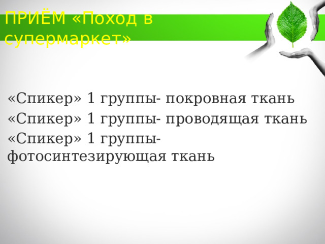 ПРИЁМ «Поход в супермаркет» «Спикер» 1 группы- покровная ткань «Спикер» 1 группы- проводящая ткань «Спикер» 1 группы- фотосинтезирующая ткань 