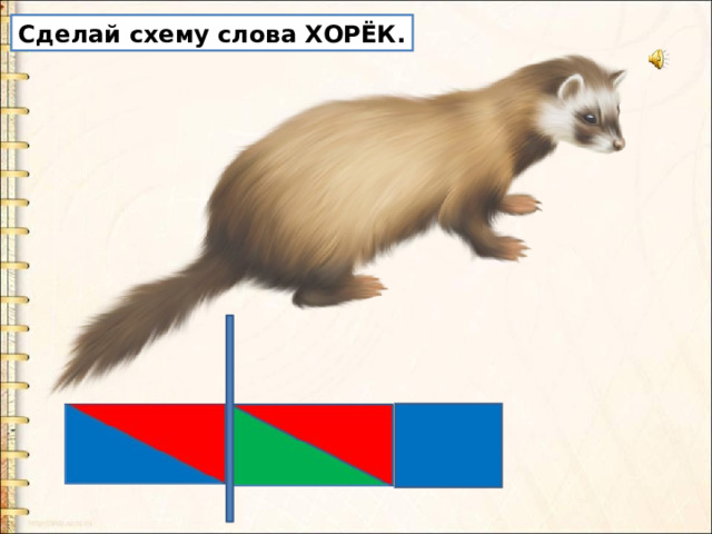 Звуковая схема слова хомяк