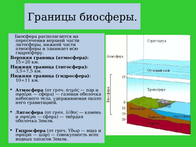 Биосфера верхняя часть литосферы нижняя часть атмосферы