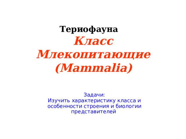 Териофауна Класс Млекопитающие (Mammalia) Задачи: Изучить характеристику класса и особенности строения и биологии представителей  
