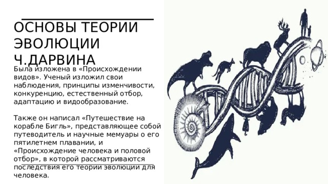 Основы теории эволюции Ч.Дарвина   Была изложена в «Происхождении видов». Ученый изложил свои наблюдения, принципы изменчивости, конкуренцию, естественный отбор, адаптацию и видообразование. Также он написал «Путешествие на корабле Бигль», представляющее собой путеводитель и научные мемуары о его пятилетнем плавании, и «Происхождение человека и половой отбор», в которой рассматриваются последствия его теории эволюции для человека.  