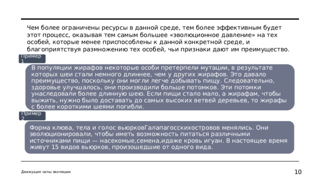 Чем более ограничены ресурсы в данной среде, тем более эффективным будет этот процесс, оказывая тем самым большее «эволюционное давление» на тех особей, которые менее приспособлены к данной конкретной среде, и благоприятствуя размножению тех особей, чьи признаки дают им преимущество. Пример 1 В популяции жирафов некоторые особи претерпели мутации, в результате которых шеи стали немного длиннее, чем у других жирафов. Это давало преимущество, поскольку они могли легче добывать пищу. Следовательно, здоровье улучшалось, они производили больше потомков. Эти потомки унаследовали более длинную шею. Если пищи стало мало, а жирафам, чтобы выжить, нужно было доставать до самых высоких ветвей деревьев, то жирафы с более короткими шеями погибли. Пример 2 Форма клюва, тела и голос вьюрковГалапагосскихостровов менялись. Они эволюционировали, чтобы иметь возможность питаться различными источниками пищи — насекомые,семена,идаже кровь игуан. В настоящее время живут 15 видов вьюрков, произошедшие от одного вида. Движущие силы эволюции 9 10 