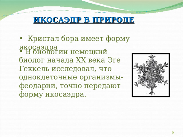 ИКОСАЭДР В ПРИРОДЕ  Кристал бора имеет форму и коса э дра  В биологии немецкий биолог начала ХХ века Эге Геккель исследовал, что одноклеточные организмы-феодарии, точно передают форму икосаэдра. 6 