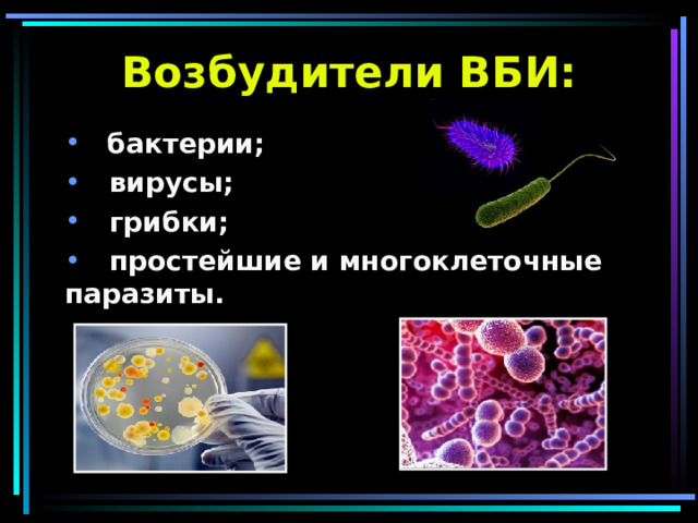 Возбудители ВБИ:  бактерии;  вирусы;  грибки;  простейшие и многоклеточные паразиты. 