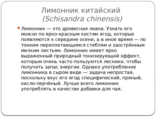 Лимонник китайский   (Schisandra chinensis) Лимонник — это древесная лиана. Узнать его можно по ярко-красным кистям ягод, которые появляются к середине осени, а в иное время — по тонким переплетающимся стеблям и заострённым мелким листьям. Лимонник имеет ярко выраженный природный тонизирующий эффект, которым очень часто пользуются лесники, чтобы получить запас энергии. Однако употребление лимонника в сыром виде — задача непростая, поскольку вкус его ягод специфический, пряный, кисло-перчёный. Лучше всего лимонник употреблять в качестве добавки для чая.   