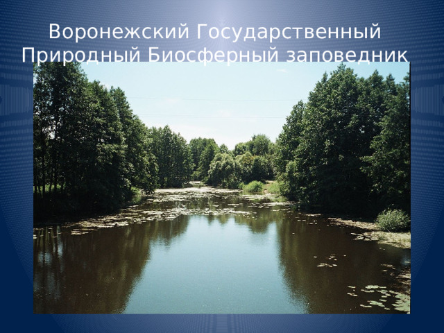 Воронежский Государственный Природный Биосферный заповедник 
