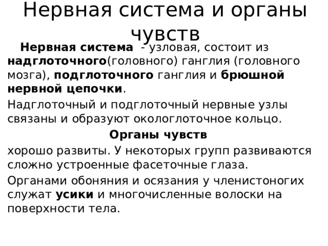 Нервная система и органы чувств  Нервная система   - узловая, состоит из надглоточного (головного) ганглия (головного мозга), подглоточного ганглия и брюшной нервной цепочки . Надглоточный и подглоточный нервные узлы связаны и образуют окологлоточное кольцо.  Органы чувств   хорошо развиты. У некоторых групп развиваются сложно устроенные фасеточные глаза. Органами обоняния и осязания у членистоногих служат  усики  и многочисленные волоски на поверхности тела. 