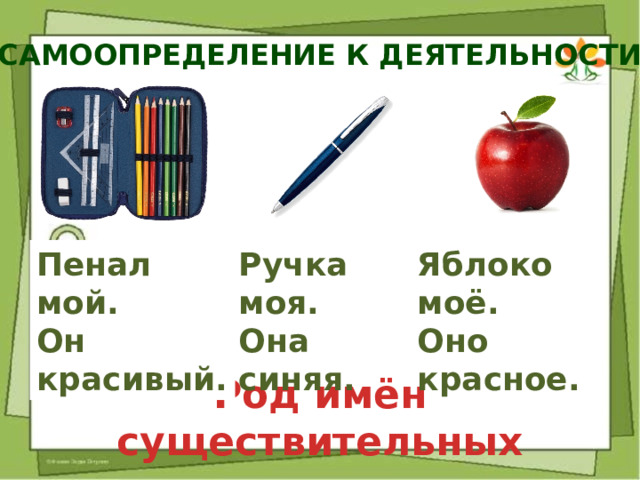 Самоопределение к деятельности Пенал мой. Ручка моя. Яблоко моё. Он красивый. Она синяя. Оно красное. Род имён существительных 