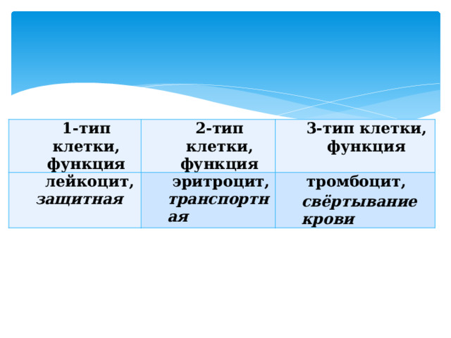 1-тип клетки, функция 2-тип клетки, функция    лейкоцит, 3-тип клетки, функция защитная   эритроцит, транспортная   тромбоцит, свёртывание крови 