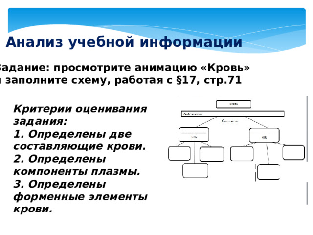 Анализ учебной информации Задание: просмотрите анимацию «Кровь» и заполните схему, работая с §17, стр.71 Критерии оценивания задания: 1. Определены две составляющие крови. 2. Определены компоненты плазмы. 3. Определены форменные элементы крови. 