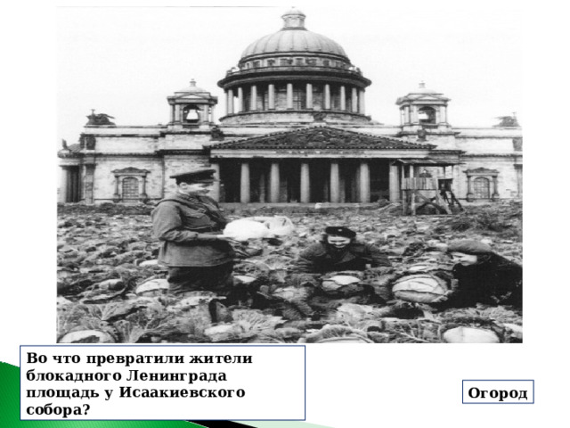 Во что превратили жители блокадного Ленинграда площадь у Исаакиевского собора? Огород 