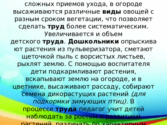 Для старшей группы в уголке природы помещают растения, пробующие более сложных приемов ухода, в огороде высаживаются различные  виды  овощей с разным сроком вегетации, что позволяет сделать  труд  более систематическим. Увеличивается и объем детского  труда .  Дошкольники  опрыскивают растения из пульверизатора, сметают щеточкой пыль с ворсистых листьев, рыхлят землю. С помощью воспитателя дети подкармливают растения, вскапывают землю на огороде, и в цветнике, высаживают рассаду, собирают семена дикорастущих растений  (для подкормки зимующих птиц) . В процессе  труда  педагог учит детей наблюдать за ростом и развитием растений, различать по характерным признакам, листьям, семенам. 