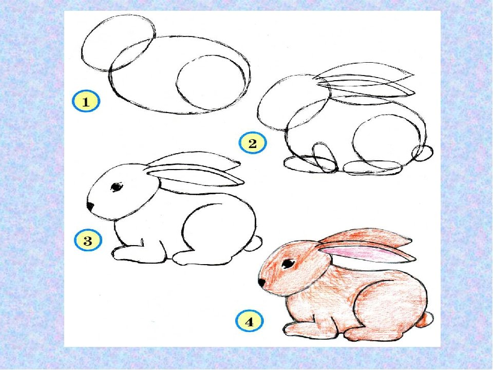 Рисунок 1.1. Рисование животных. Рисование животных для малышей. Рисование д ких животных. Рисование 2 класс.