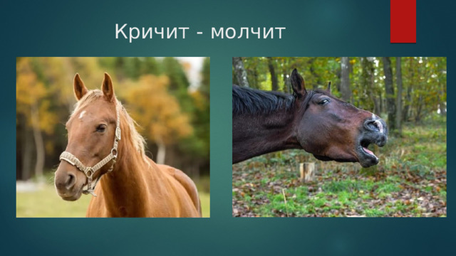 Кричит - молчит 