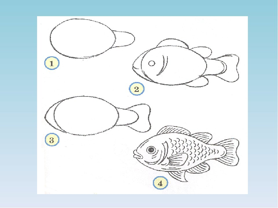 Рисунок 1.1. Рисование рыбки. Поэтапное рисование рыбы. Поэтапное рисование рыбки для дошкольников. Рисование 1 класс.