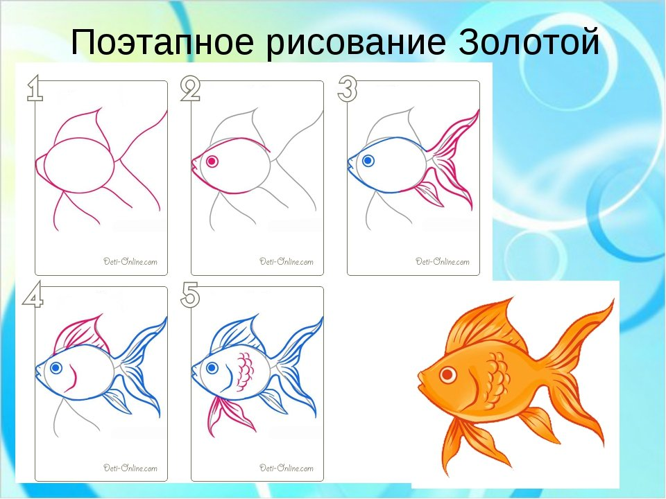 Тема урока рисование. Рыбка рисунок. Рисование. Рисование поэтапно. Золотая рыбка рисунок.
