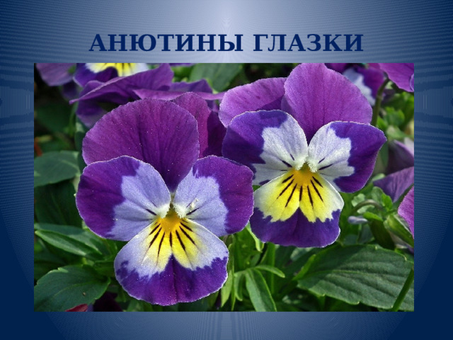 АНЮТИНЫ ГЛАЗКИ 