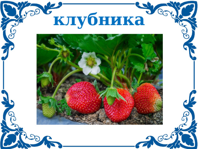 клубника 