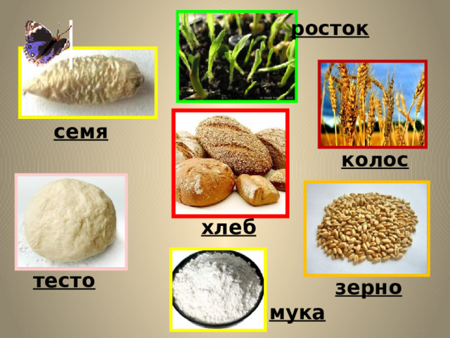 Путь хлеба от зерна до стола