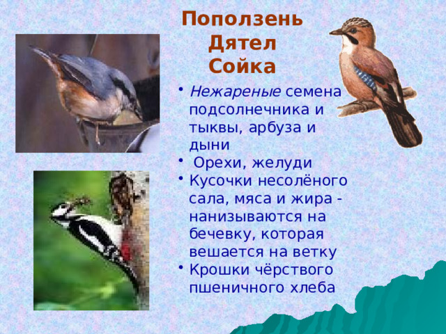 Поползень  Дятел  Сойка Нежареные семена подсолнечника и тыквы, арбуза и дыни  Орехи, желуди Кусочки несолёного сала, мяса и жира - нанизываются на бечевку, которая вешается на ветку Крошки чёрствого пшеничного хлеба 