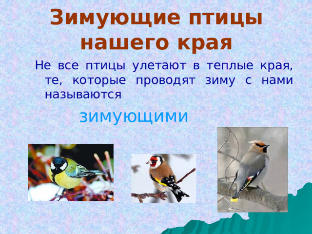 Зимующие птицы нашего края Не все птицы улетают в теплые края, те, которые проводят зиму с нами называются  зимующими 