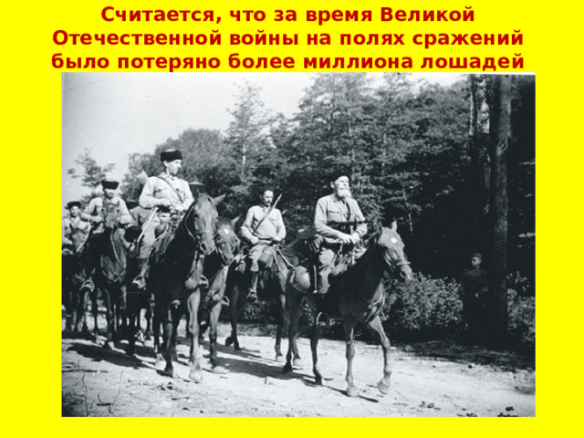 Считается, что за время Великой Отечественной войны на полях сражений было потеряно более миллиона лошадей   