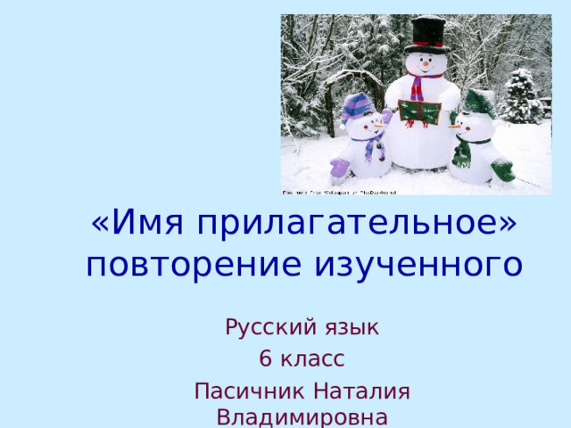 «Имя прилагательное»  повторение изученного Русский язык 6 класс Пасичник Наталия Владимировна 