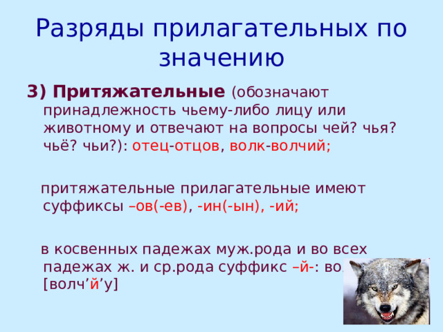 Разряды прилагательных по значению 3) Притяжательные (обозначают принадлежность чьему-либо лицу или животному и отвечают на вопросы чей? чья? чьё? чьи?): отец - отцов , волк - волчий;  притяжательные прилагательные имеют суффиксы –ов(-ев) , -ин(-ын),  -ий;  в косвенных падежах муж.рода и во всех падежах ж. и ср.рода суффикс –й- : волчью [ волч ’ й ’ у ] 