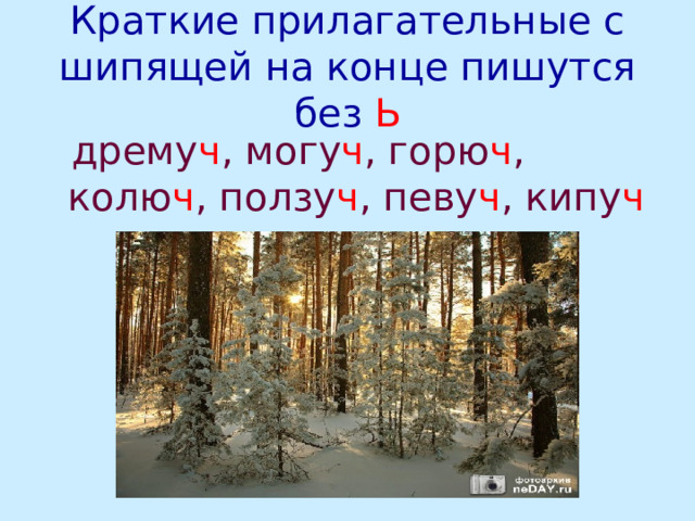 Краткие прилагательные с шипящей на конце пишутся без Ь  дрему ч , могу ч , горю ч , колю ч , ползу ч , певу ч , кипу ч 