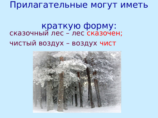 Прилагательные могут иметь  краткую форму: сказочный лес – лес сказочен; чистый воздух – воздух чист 