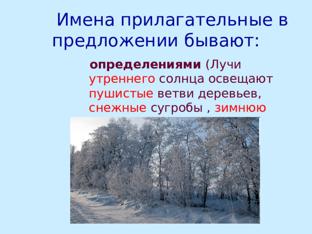  Имена прилагательные в предложении бывают:  определениями (Лучи утреннего солнца освещают пушистые ветви деревьев, снежные сугробы , зимнюю дорогу в глубине леса.)  определениями (Лучи утреннего солнца освещают пушистые ветви деревьев, снежные сугробы , зимнюю дорогу в глубине леса.)  определениями (Лучи утреннего солнца освещают пушистые ветви деревьев, снежные сугробы , зимнюю дорогу в глубине леса.)  определениями (Лучи утреннего солнца освещают пушистые ветви деревьев, снежные сугробы , зимнюю дорогу в глубине леса.)  определениями (Лучи утреннего солнца освещают пушистые ветви деревьев, снежные сугробы , зимнюю дорогу в глубине леса.) 