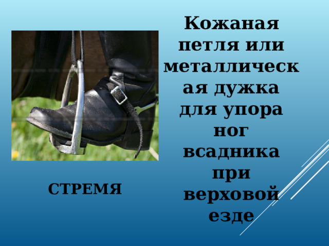 Кожаная петля или металлическая дужка для упора ног всадника при верховой езде СТРЕМЯ   