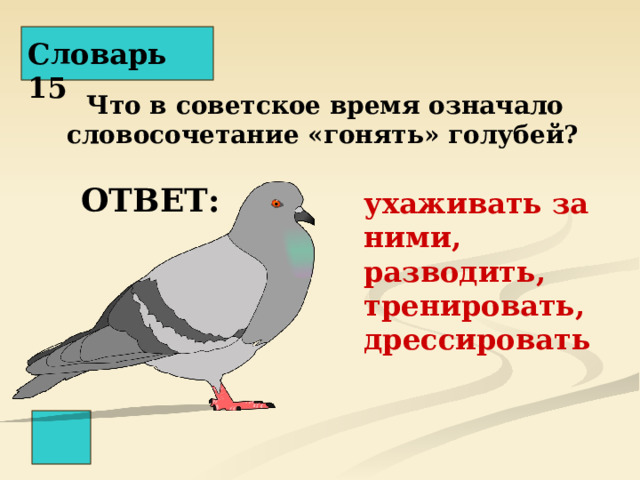 Словарь 15 Что в советское время означало словосочетание «гонять» голубей?  ОТВЕТ: ухаживать за ними, разводить, тренировать, дрессировать 
