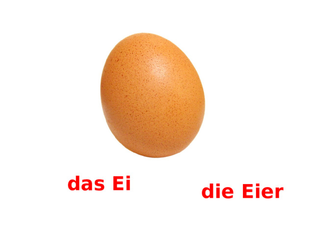 das Ei die Eier 