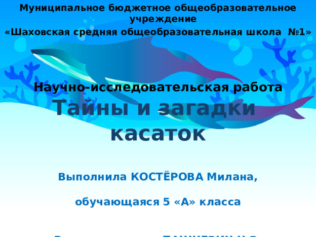 Муниципальное бюджетное общеобразовательное учреждение «Шаховская средняя общеобразовательная школа №1» Научно-исследовательская работа  Тайны и загадки  касаток   Выполнила КОСТЁРОВА Милана,  обучающаяся 5 «А» класса   Руководитель ПАШКЕВИЧ Н.В.  2022 – 2023 учебный год   Оригинальные шаблоны для презентаций: https://presentation-creation.ru/powerpoint-templates.html  Бесплатно и без регистрации.  