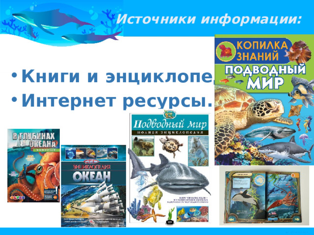 Источники информации: Книги и энциклопедии. Интернет ресурсы. 