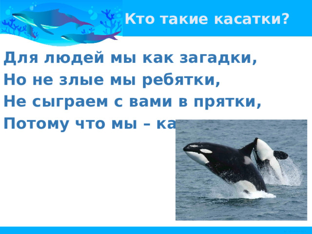 Кто такие касатки? Для людей мы как загадки, Но не злые мы ребятки, Не сыграем с вами в прятки, Потому что мы – касатки. 