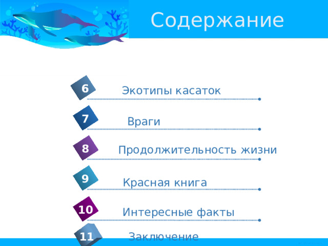 Содержание 6 6 Экотипы касаток 7 Враги 8 Продолжительность жизни 9 Красная книга 10 Интересные факты Заключение 11 