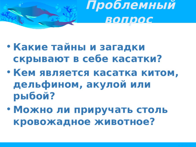 Проблемный вопрос   Какие тайны и загадки скрывают в себе касатки? Кем является касатка китом, дельфином, акулой или рыбой? Можно ли приручать столь кровожадное животное? 