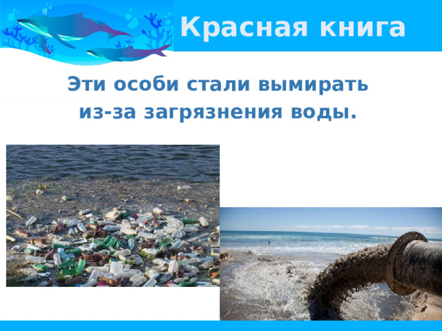 Красная книга Эти особи стали вымирать из-за загрязнения воды. 