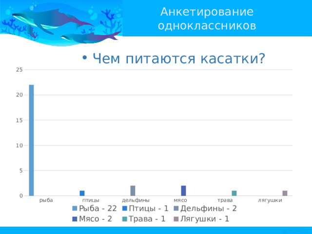 Анкетирование одноклассников Чем питаются касатки? 