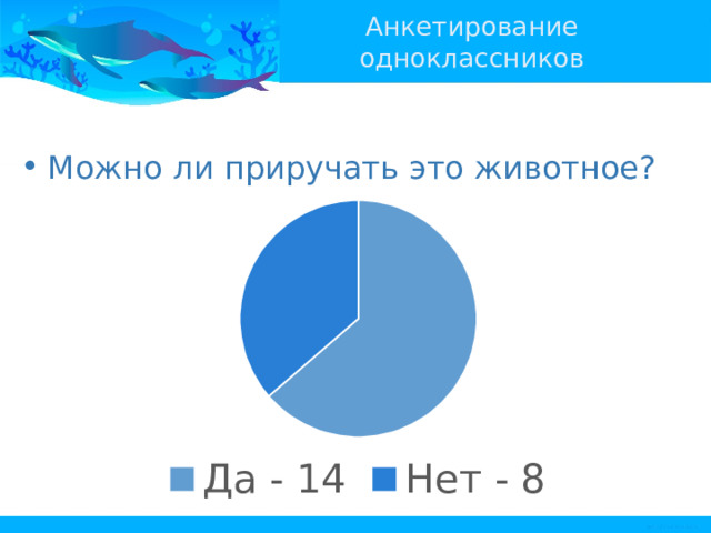 Анкетирование одноклассников Можно ли приручать это животное? 