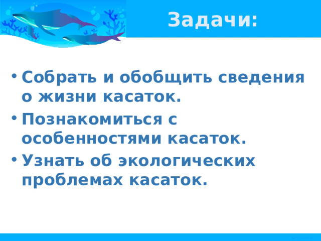 Задачи: Собрать и обобщить сведения о жизни касаток. Познакомиться с особенностями касаток. Узнать об экологических проблемах касаток. 