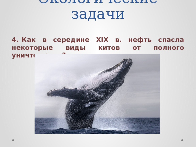 Экологические задачи 4.  Как в середине ХIХ в. нефть спасла некоторые виды китов от полного уничтожения? 