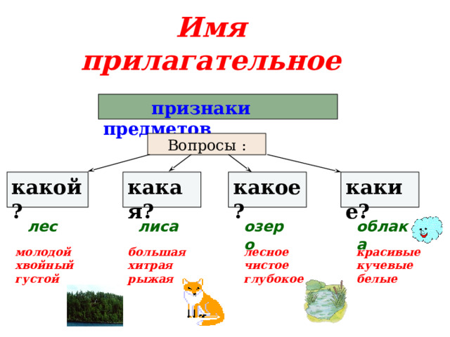 Имя прилагательное  признаки предметов  Вопросы : какой? какая? какое? какие? облака озеро лиса лес большая молодой лесное красивые кучевые хитрая чистое хвойный белые густой глубокое рыжая 