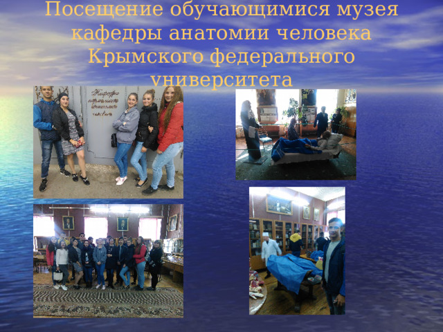 Посещение обучающимися музея кафедры анатомии человека Крымского федерального университета 