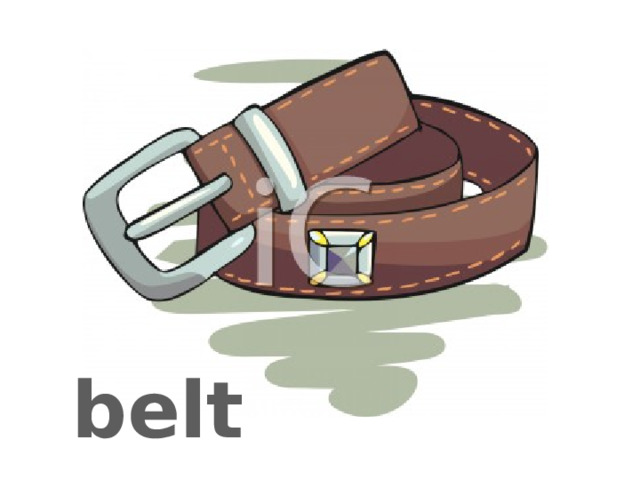 belt 