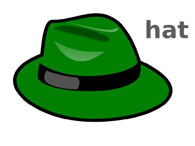 hat 